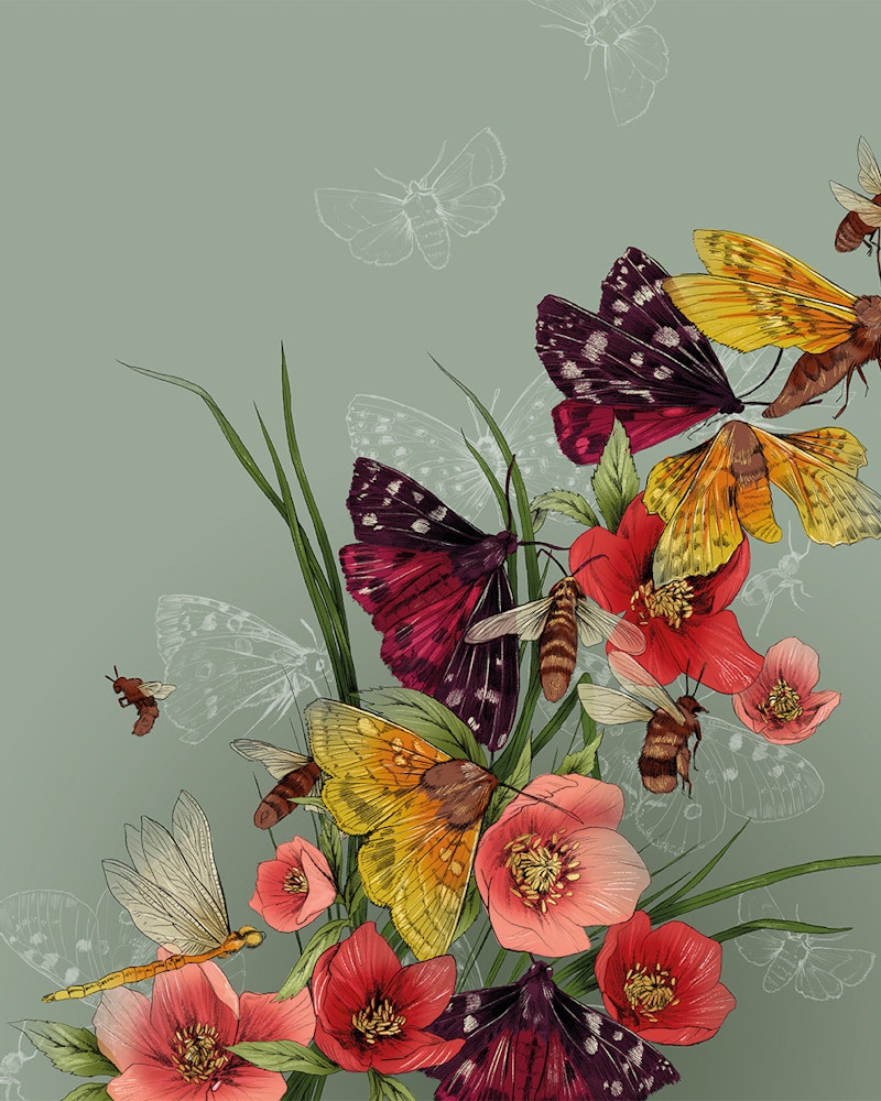 La Scarlatte Pauline Teunissen New Scientist Biodiversity Moths Bees portfolio1500px